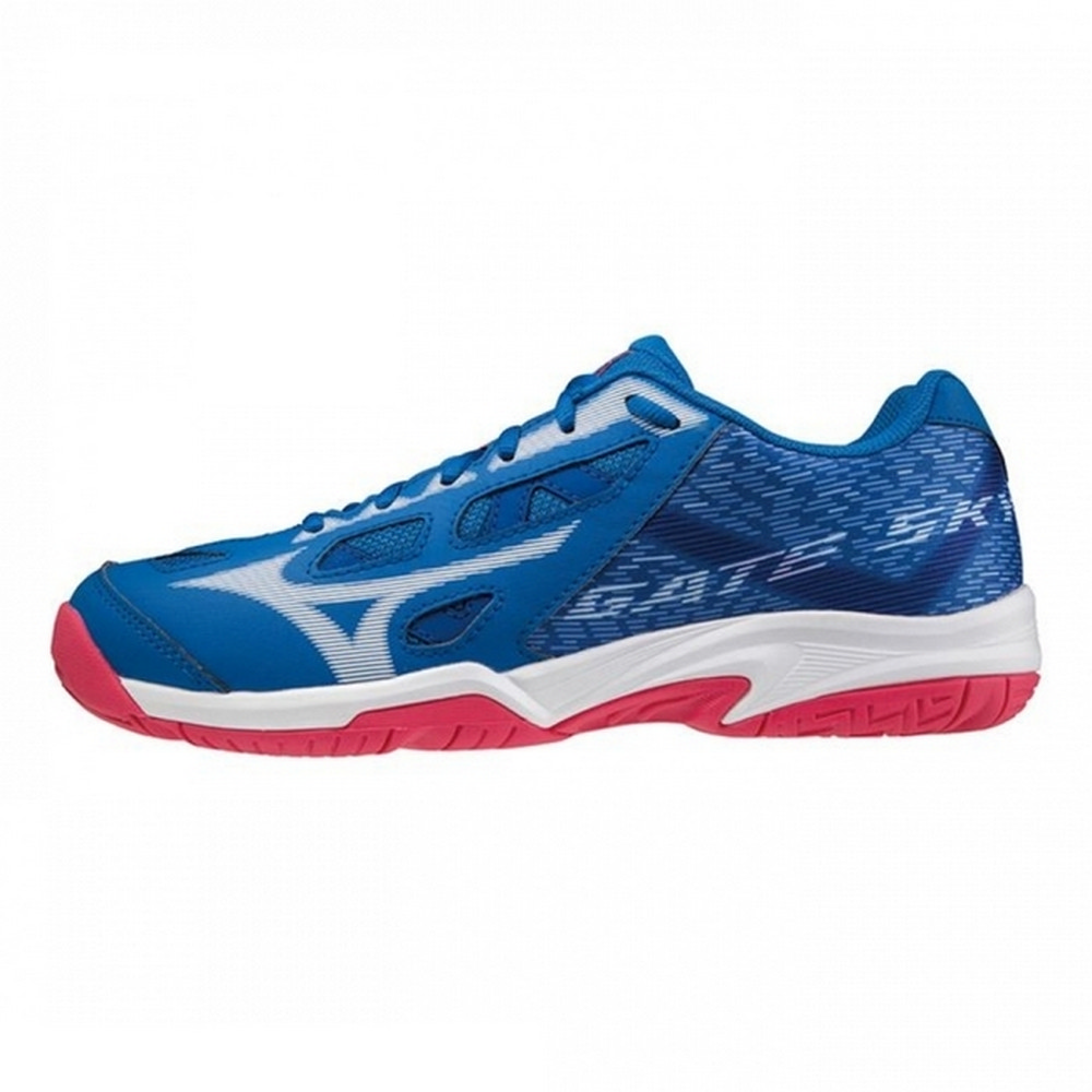 Mizuno 美津濃 羽球鞋 男鞋 GATE SKY PLUS 4 3E 黑【運動世界】71GA242140 歷史價格詳細信息