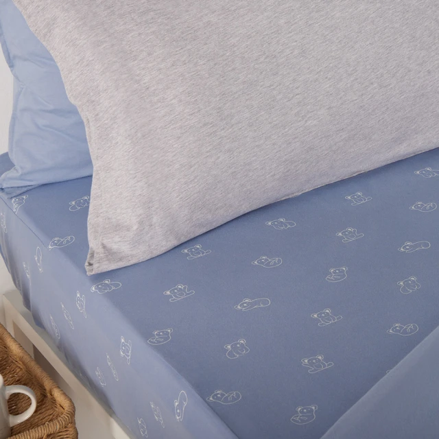 【YVONNE 以旺傢飾】100%美國棉印花枕套-條紋拼接 鼠尾草綠(1入 純棉 隨機出貨) 歷史價格詳細信息