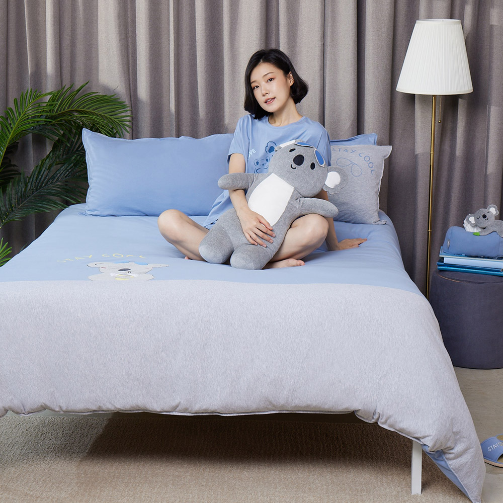 【YVONNE 以旺傢飾】100%美國純棉被套+枕套組-直條紋 冰灰藍(加大) 歷史價格詳細信息