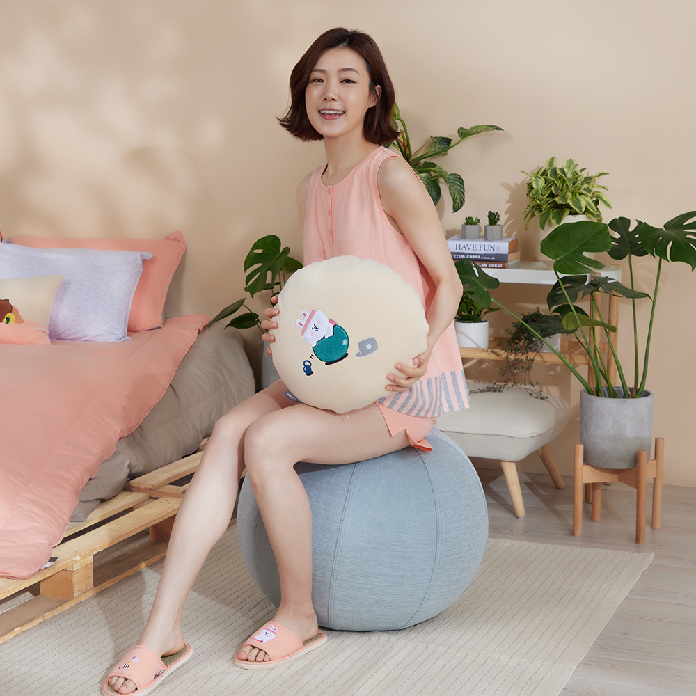 【YVONNE 以旺傢飾】兔兔立體大骨頭抱枕(LINE FRIENDS) 歷史價格詳細信息