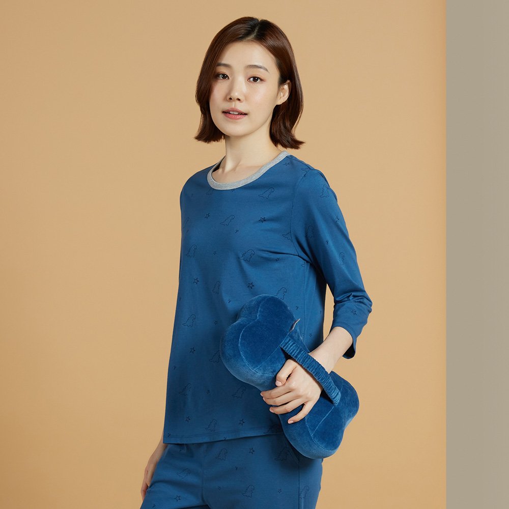 【YVONNE 以旺傢飾】素面車用骨頭頸枕(寶石藍 2入) 歷史價格詳細信息