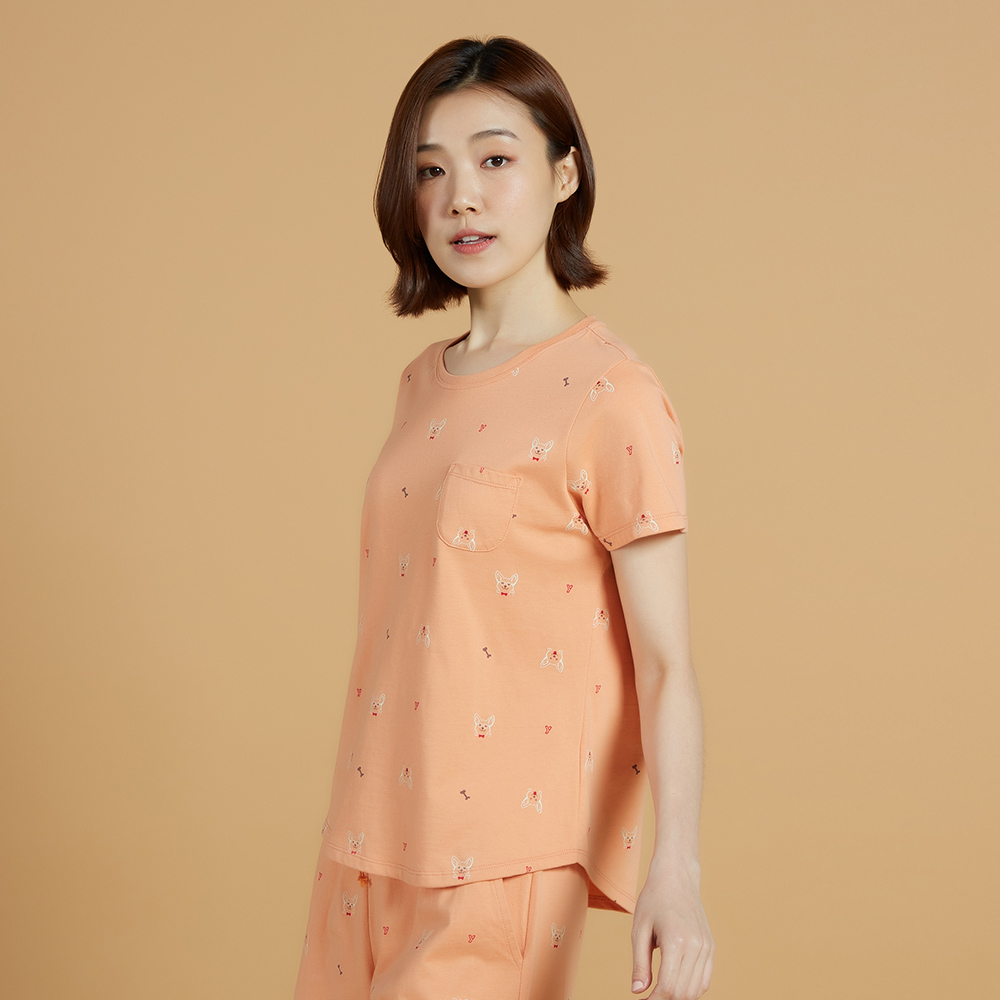 【YVONNE 以旺傢飾】柯基探頭方形抱枕_30x45公分(岩石灰) 歷史價格詳細信息
