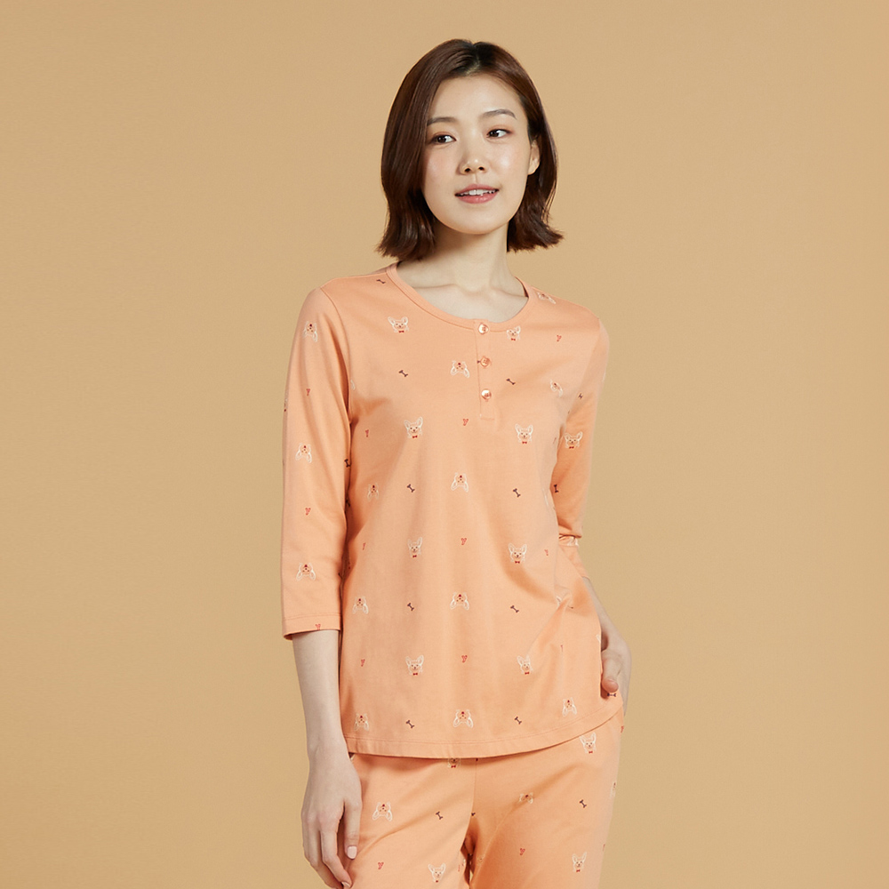 【YVONNE 以旺傢飾】柯基探頭方形抱枕_30x45公分(岩石灰) 歷史價格詳細信息