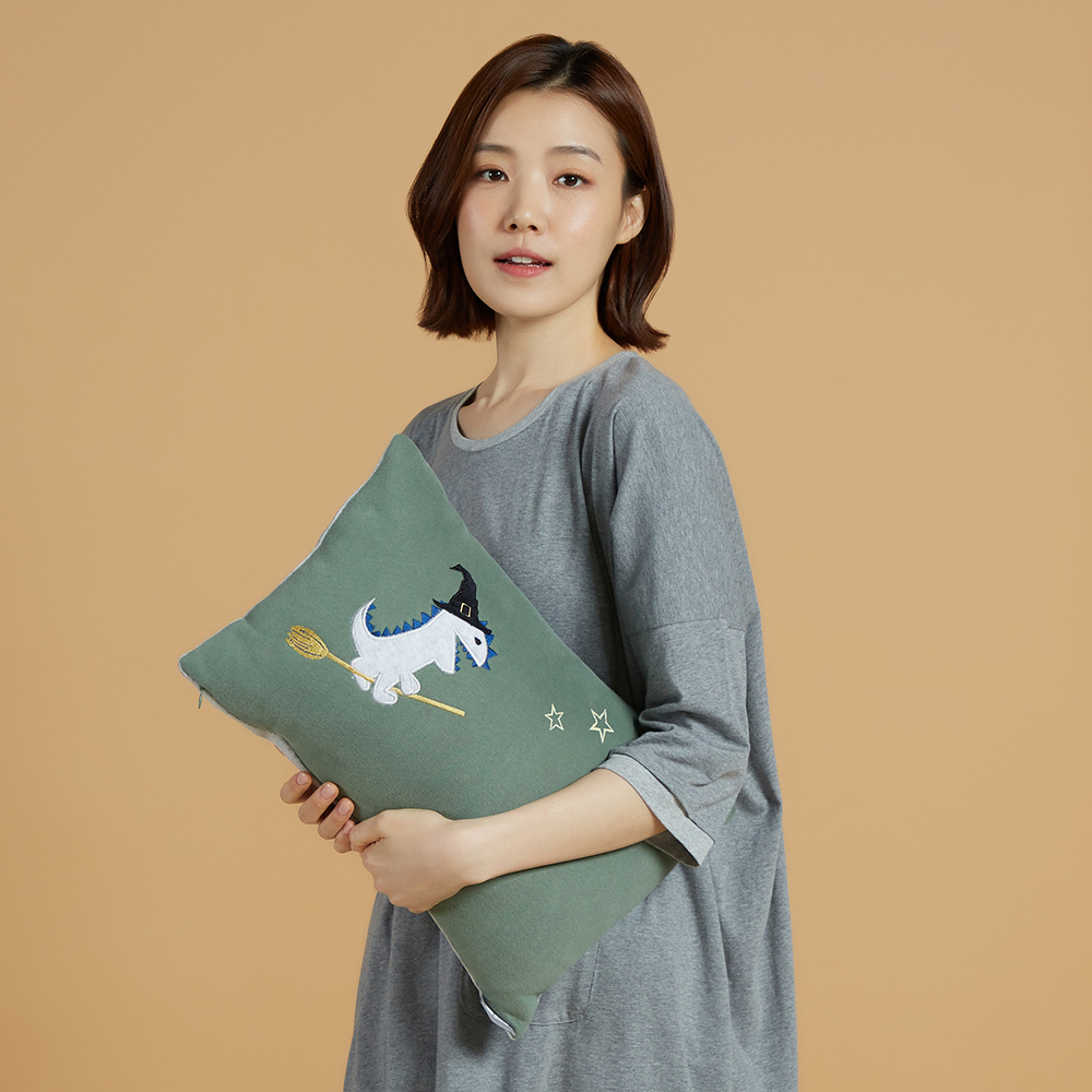 【YVONNE 以旺傢飾】公益認養 獅子長型抱枕(蜜瓜橘) 歷史價格詳細信息
