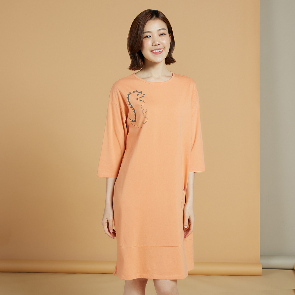 【YVONNE 以旺傢飾】恐龍小玩偶(迷霧灰) 歷史價格詳細信息