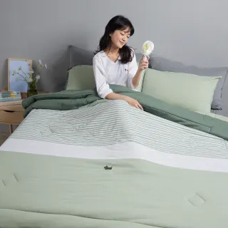 【YVONNE 以旺傢飾】100%美國棉感溫被-狗狗條紋 灰綠(雙人 純棉 棉被 水洗 冬被 石墨烯 膠原美膚) 歷史價格詳細信息