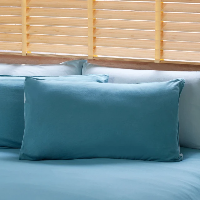 【YVONNE 以旺傢飾】100%美國棉印花枕套-條紋拼接 鼠尾草綠(1入 純棉 隨機出貨) 歷史價格詳細信息