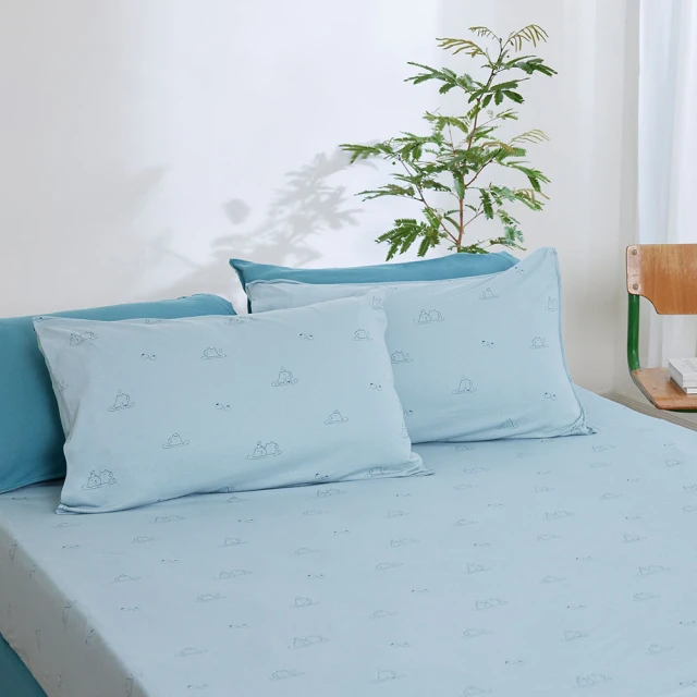 【YVONNE 以旺傢飾】100%美國棉印花枕套-條紋拼接 鼠尾草綠(1入 純棉 隨機出貨) 歷史價格詳細信息