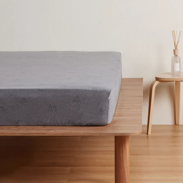 【YVONNE 以旺傢飾】100%美國棉印花枕套-條紋拼接 鼠尾草綠(1入 純棉 隨機出貨) 歷史價格詳細信息