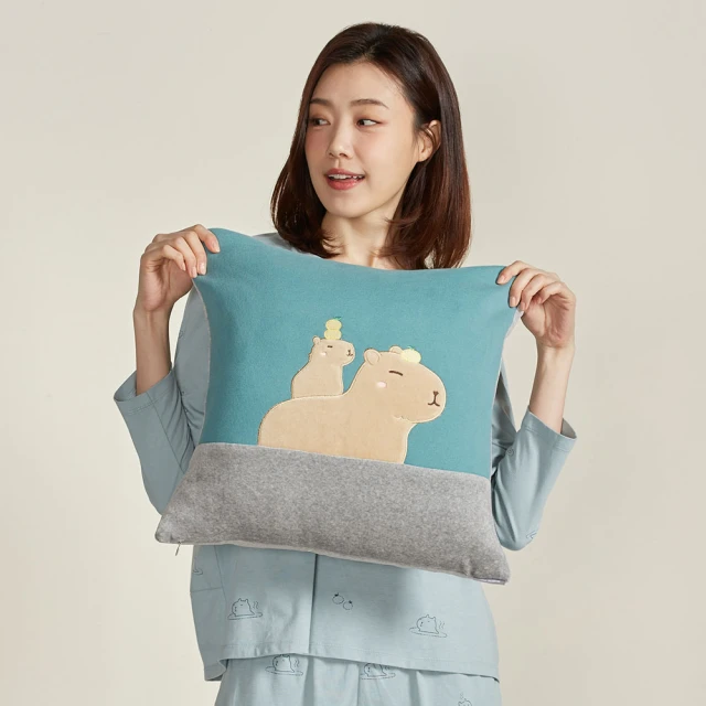 【YVONNE 以旺傢飾】水豚麻糬抱枕-蜜茶棕 歷史價格詳細信息