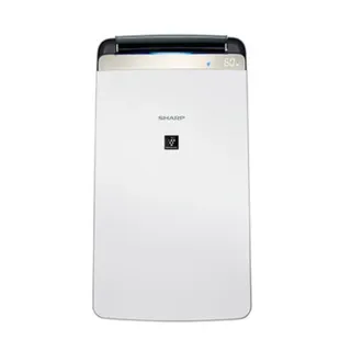 SHARP夏普 10公升/日除濕機 DW-J10FT-W 廠商直送 歷史價格詳細信息