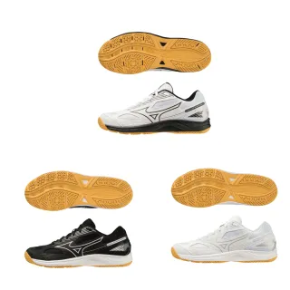 美津濃 MIZUNO CYCLONE SPEED 4 排球鞋 V1GA238043 歷史價格詳細信息