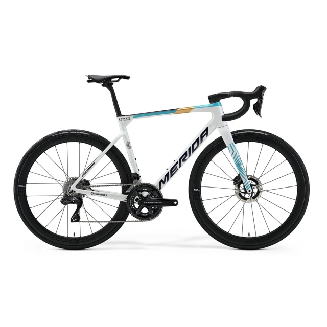 《MERIDA》斯特拉SCULTURA TEAM 美利達 碳纖維全能型碟煞跑車 歷史價格詳細信息