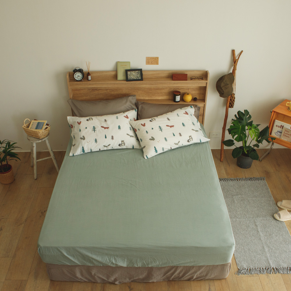 【3包組】加拿大ACANA愛肯拿-貓用低GI配方 340g 歷史價格詳細信息