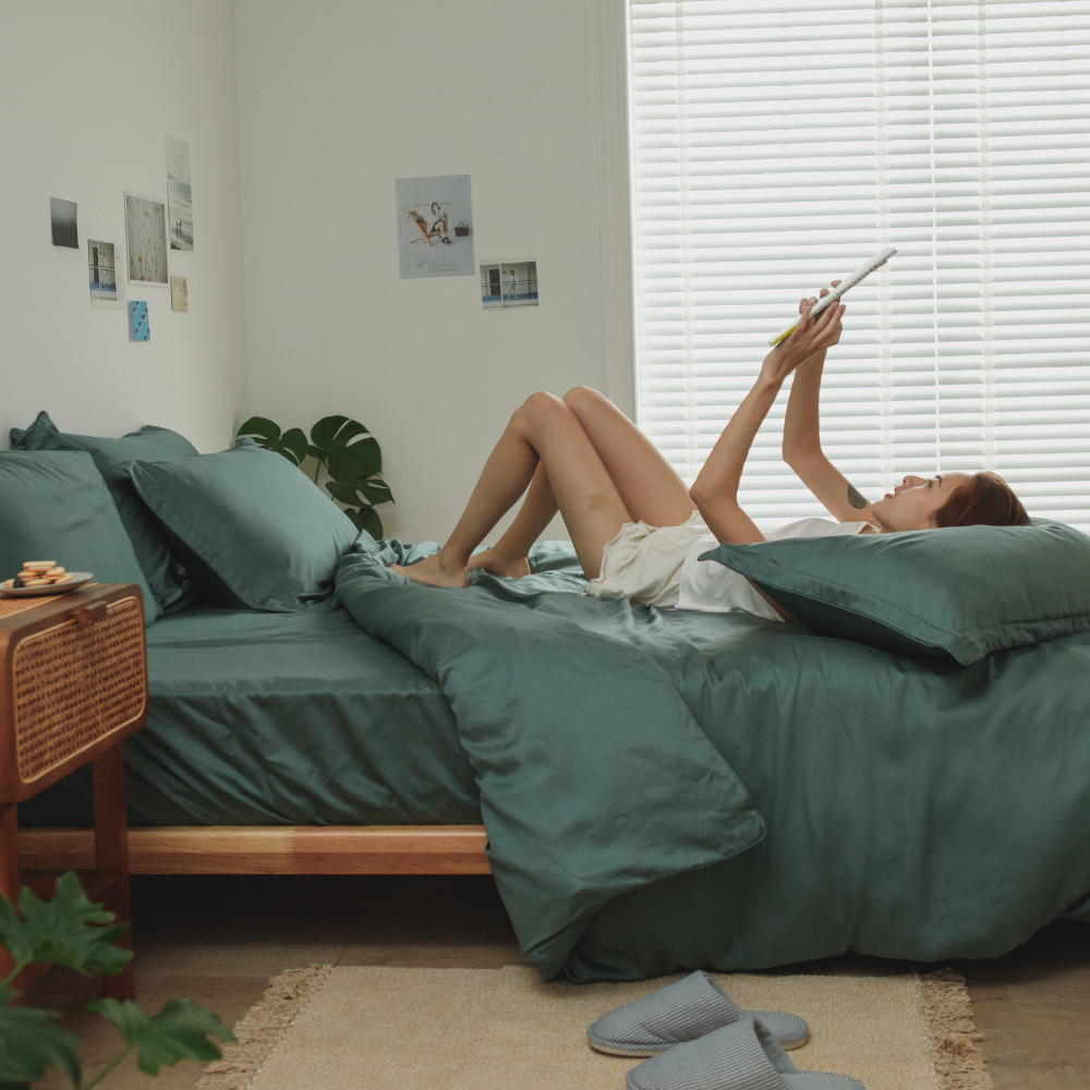 【翔仔居家】60支天絲 兩用舖棉被套/四季被+枕套-植室(單人) 歷史價格詳細信息