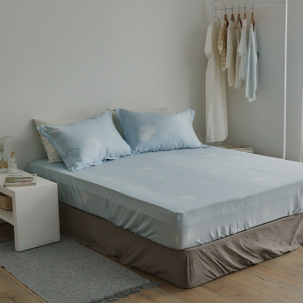 【翔仔居家】60支天絲 床包+枕套-2件組-樂章(單人) 歷史價格詳細信息