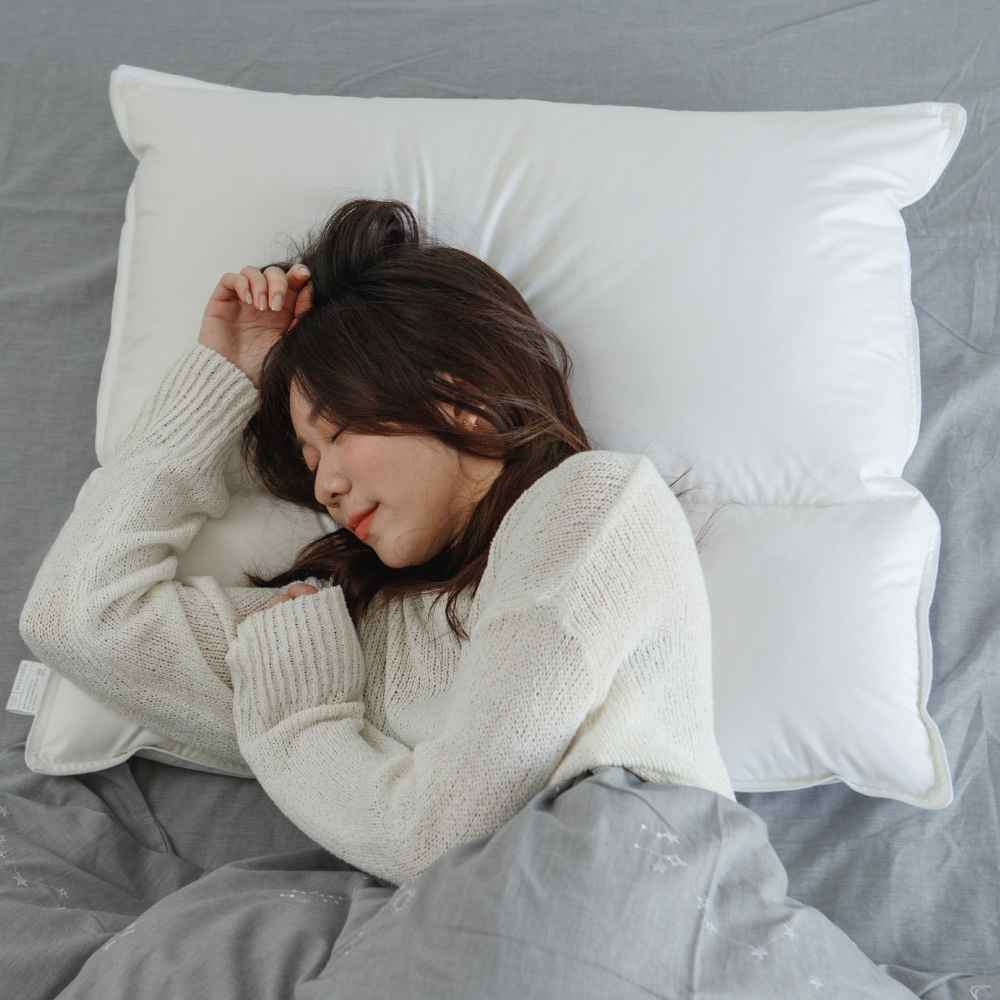 翔仔居家 枕頭 可水洗舒眠枕 (1入/2入) 護頸 蓬鬆Q彈 支撐性高 歷史價格詳細信息