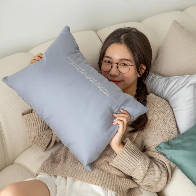 翔仔居家 枕頭 可水洗舒眠枕 (1入/2入) 護頸 蓬鬆Q彈 支撐性高 歷史價格詳細信息