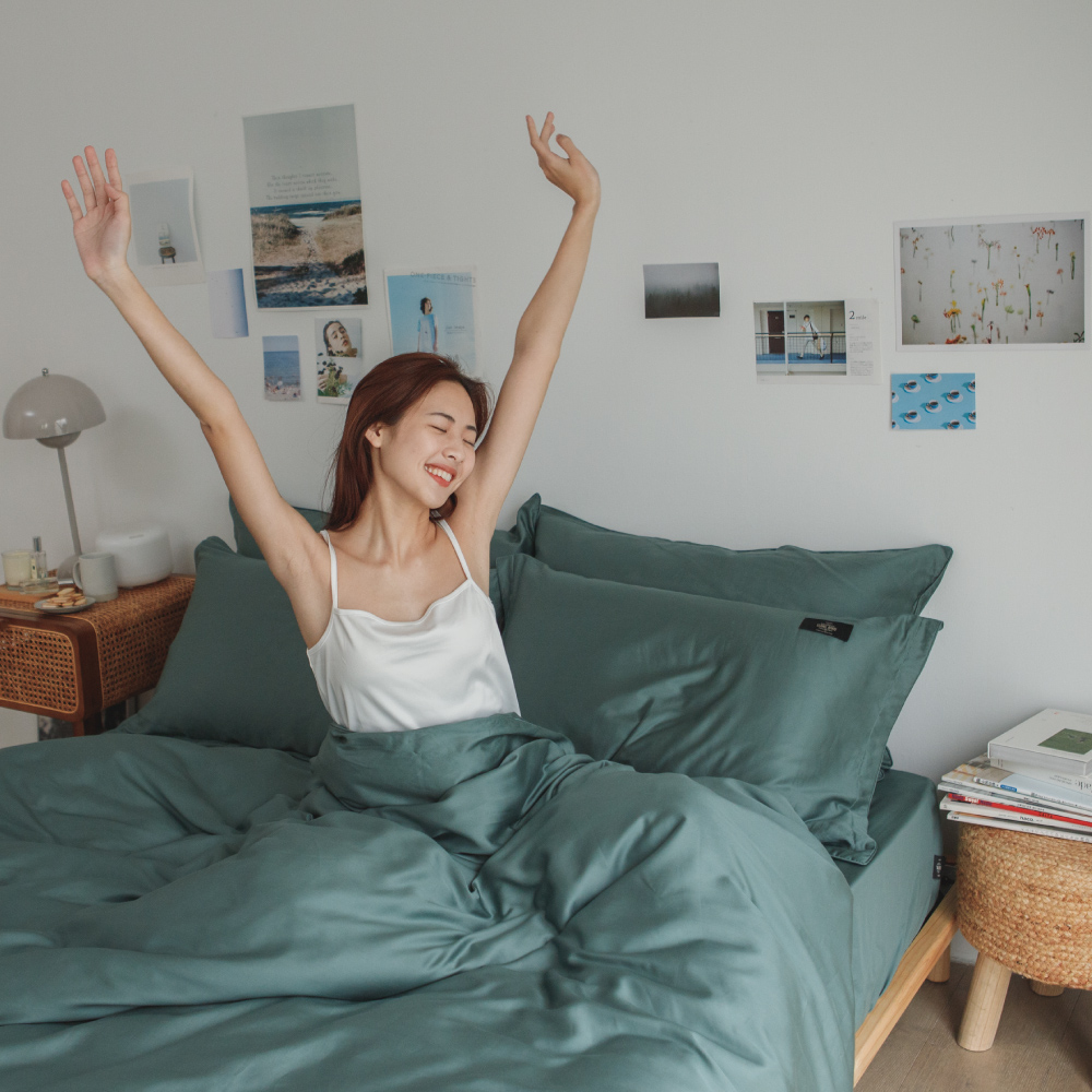 【翔仔居家】60支天絲薄被套床包3件組-綠霧森林(單人) 歷史價格詳細信息