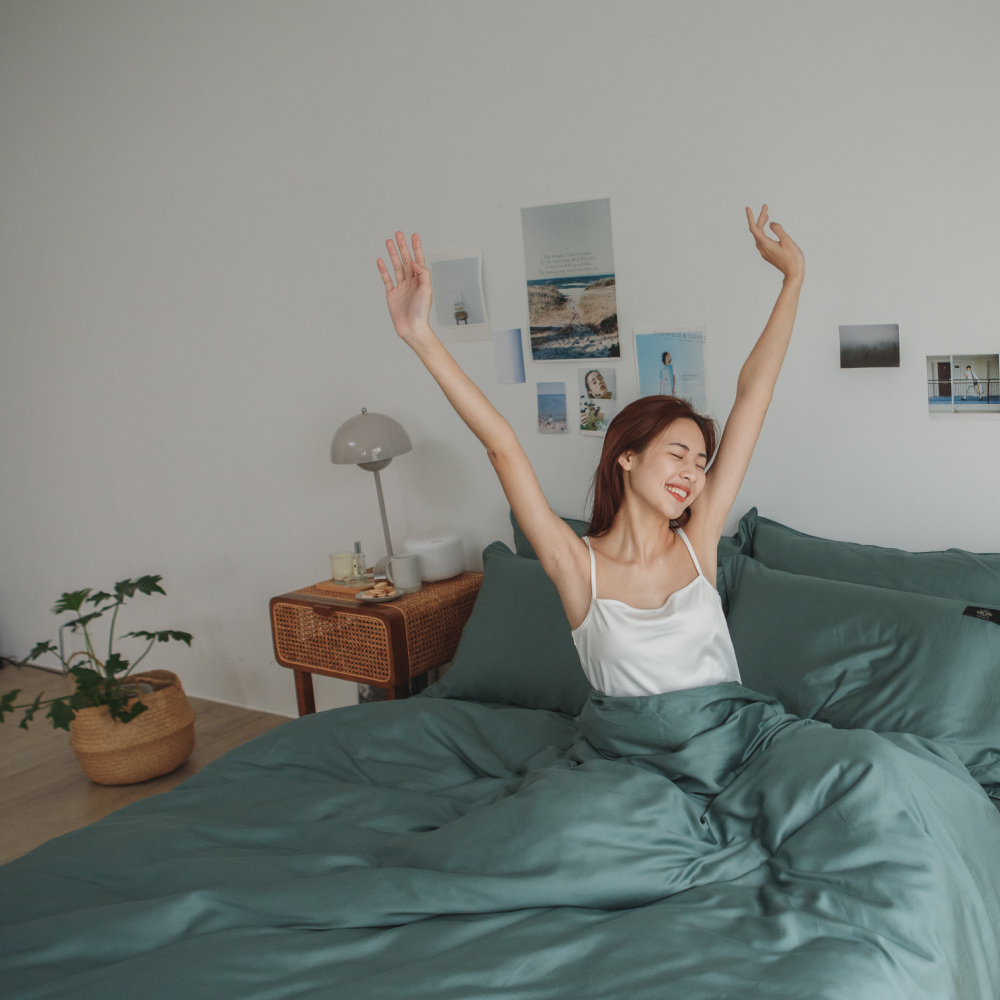 翔仔居家 涼被 四季用薄被胎【單人/雙人 任選】棉被 可水洗 四季被 歷史價格詳細信息