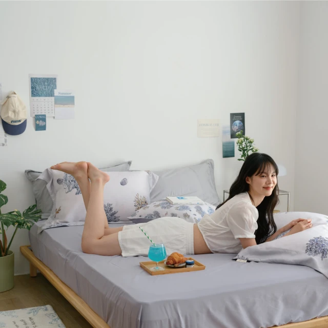 《夏日悠藍》雙人純棉四件式防蹣抗菌吸濕排汗兩用被床包組 歷史價格詳細信息