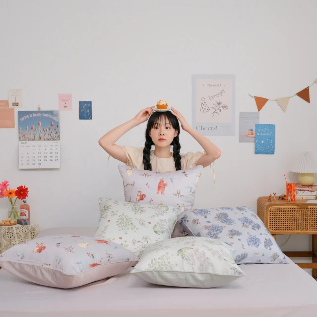 翔仔居家 枕頭 可水洗舒眠枕 (1入/2入) 護頸 蓬鬆Q彈 支撐性高 歷史價格詳細信息