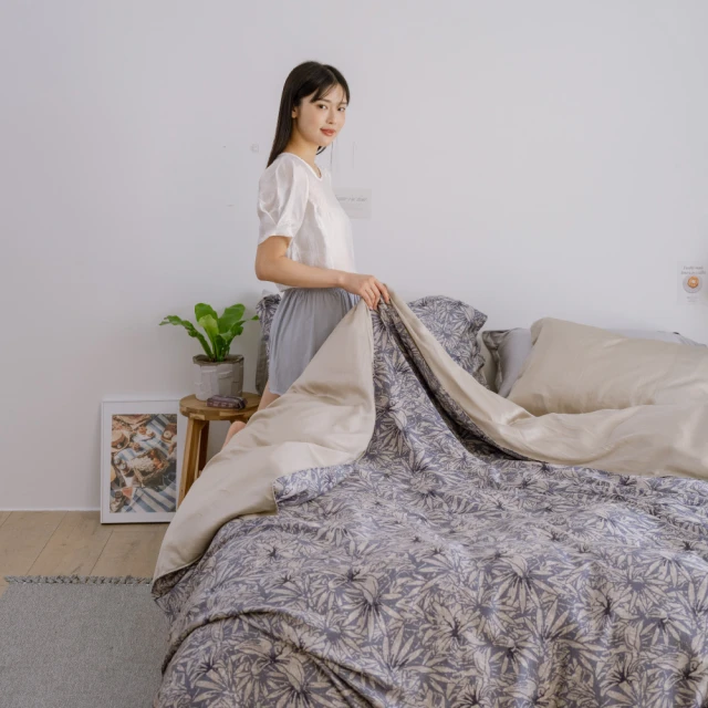 【翔仔居家】60支天絲 兩用舖棉被套/四季被+枕套-植室(單人) 歷史價格詳細信息