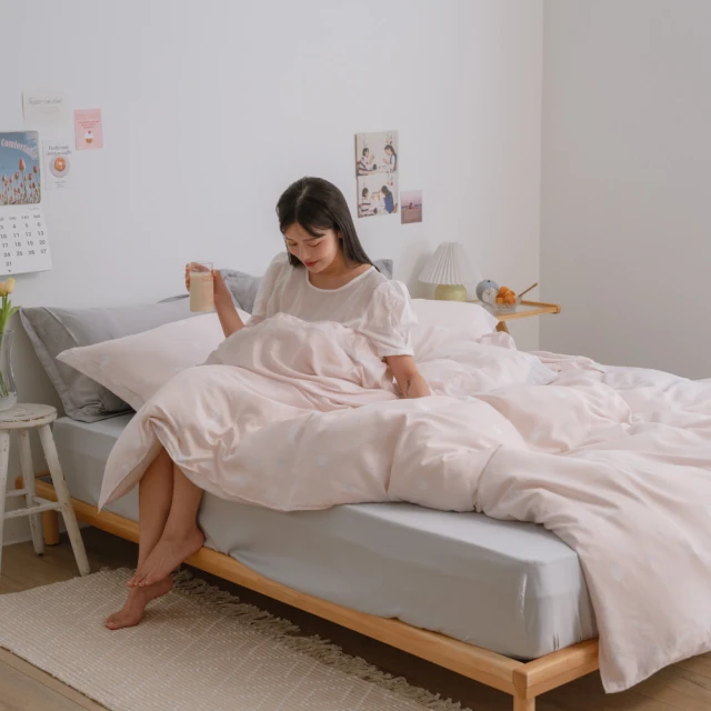 【翔仔居家】60支天絲 兩用舖棉被套/四季被+枕套-植室(單人) 歷史價格詳細信息