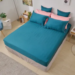 【特力屋】永備黑貓碳鋅 4號 16入 歷史價格詳細信息