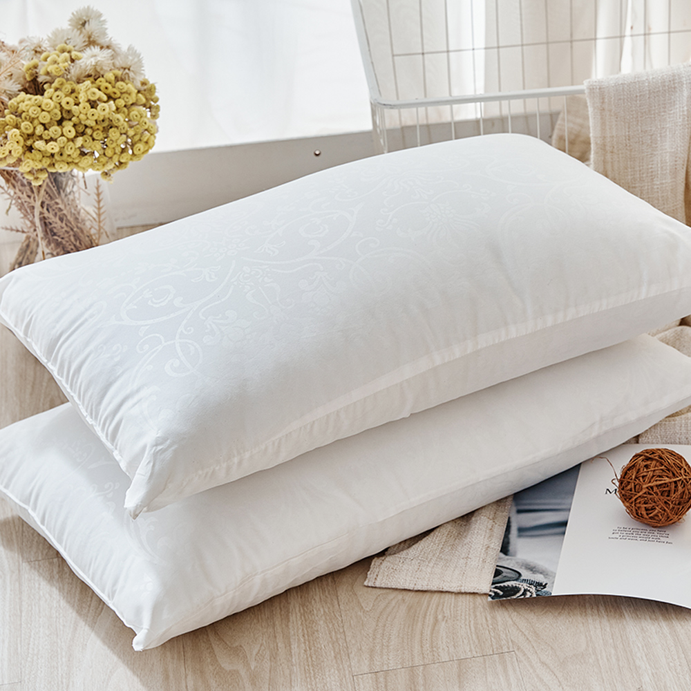 《戀家小舖》可水洗QQ枕 兩入組 歷史價格詳細信息