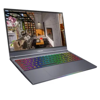 CJSCOPE喜傑獅 SX-750GX SX750GX RZ760 N960 N970神舟Hasee K690E筆電風扇 歷史價格詳細信息