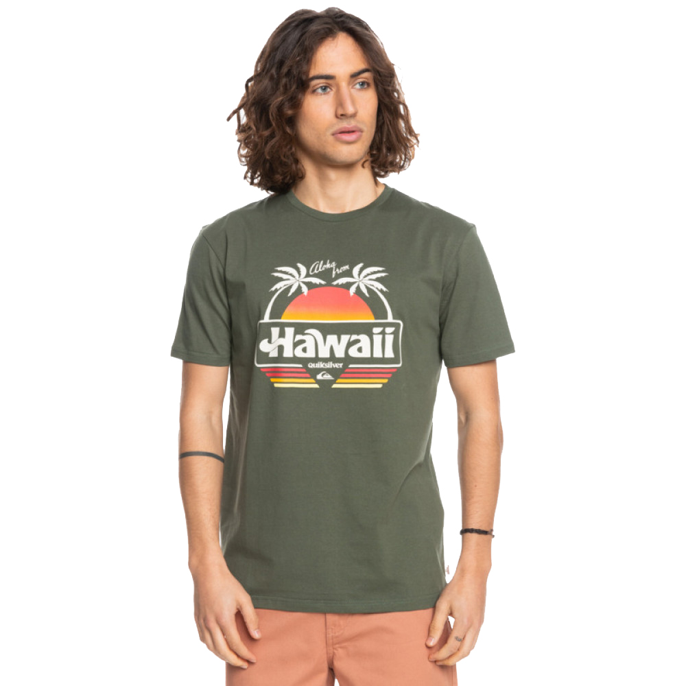 【Quiksilver】男款 男裝 短袖T恤 ALPHA DOG SS TEE(白色) 歷史價格詳細信息