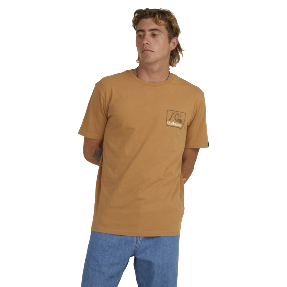 【Quiksilver】男款 男裝 短袖T恤 OMNI LOGO SS(白色) 歷史價格詳細信息