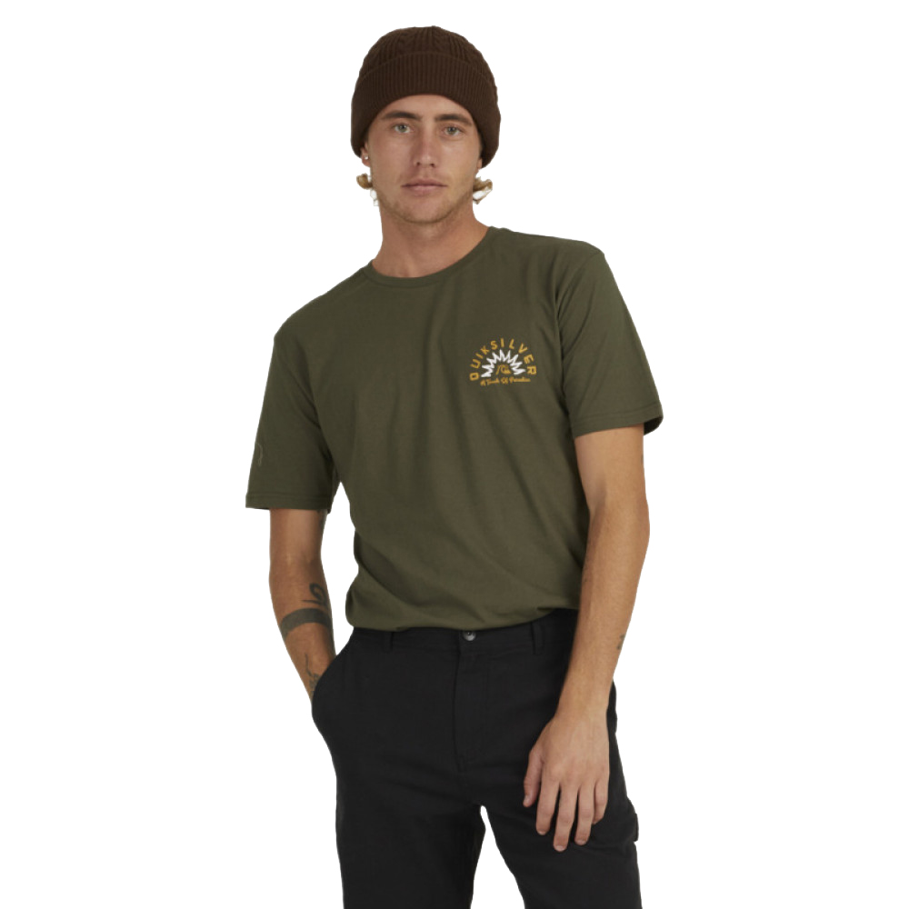 【Quiksilver】男款 男裝 短袖T恤 OMNI LOGO SS(白色) 歷史價格詳細信息