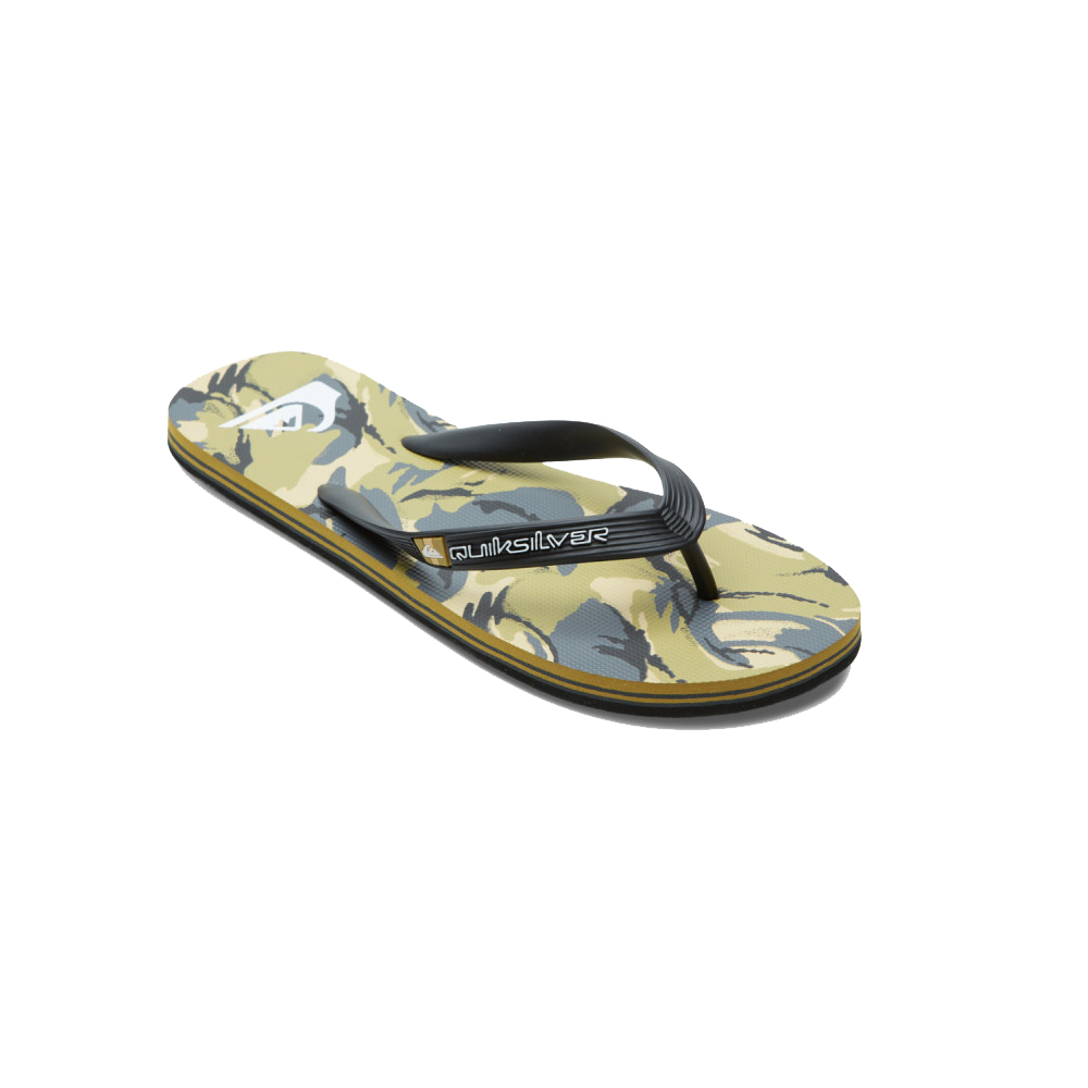 【Quiksilver】男款 男鞋 夾腳拖鞋 MOLOKAI AIR FLOW(黑色) 歷史價格詳細信息
