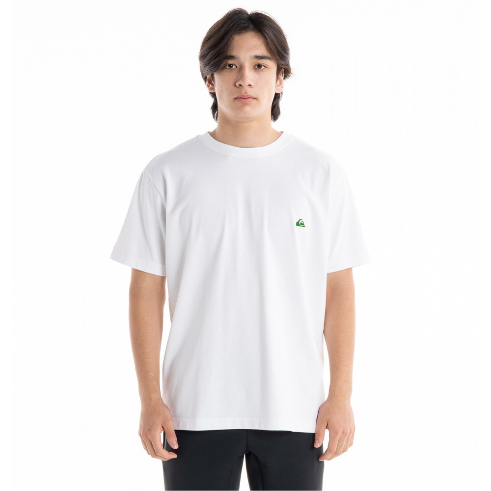 【Quiksilver】男款 男裝 短袖T恤 OMNI LOGO SS(白色) 歷史價格詳細信息