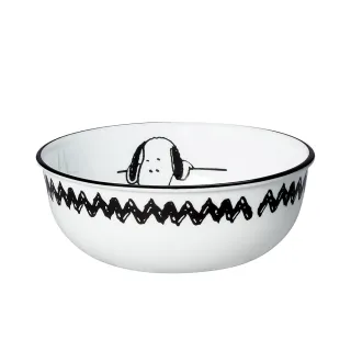 【CorelleBrands 康寧餐具】SNOOPY 黑白食尚4件式碗盤組(D02) 歷史價格詳細信息