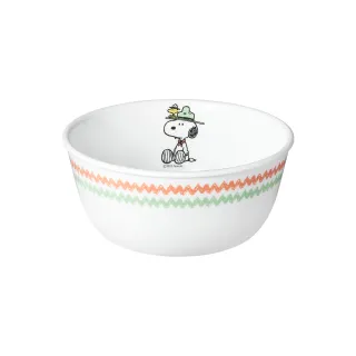 【CorelleBrands 康寧餐具】SNOOPY 經典語錄2件式湯碗組(BA) 歷史價格詳細信息