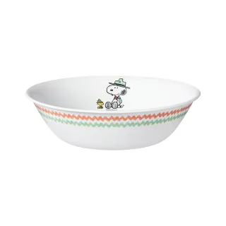 【CorelleBrands 康寧餐具】SNOOPY 露營趣 4件式拉麵碗組-D01 歷史價格詳細信息