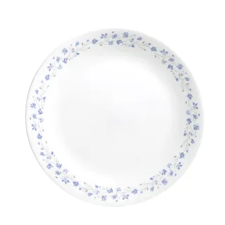 【CORELLE 康寧餐具】10吋方盤-綠野微風(2213) 歷史價格詳細信息