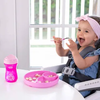 【chicco】矽膠多格副食品儲存盒 歷史價格詳細信息