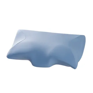 【生活工場】一夜好眠天絲機能枕 歷史價格詳細信息