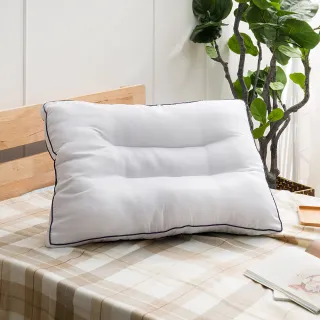 【生活工場】六星級立體好眠枕 歷史價格詳細信息