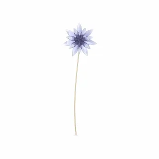 【SWAROVSKI 官方直營】Garden Tales－玫瑰球形掛飾 大 歷史價格詳細信息
