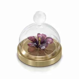 【SWAROVSKI 官方直營】Garden Tales－玫瑰球形掛飾 大 歷史價格詳細信息