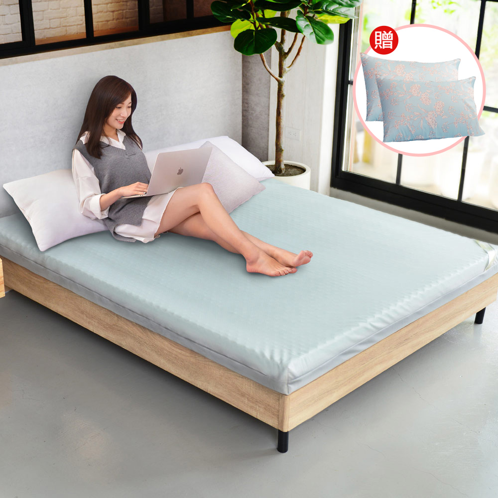 LooCa 石墨烯CBD科技速眠2入 (涼感版) 歷史價格詳細信息