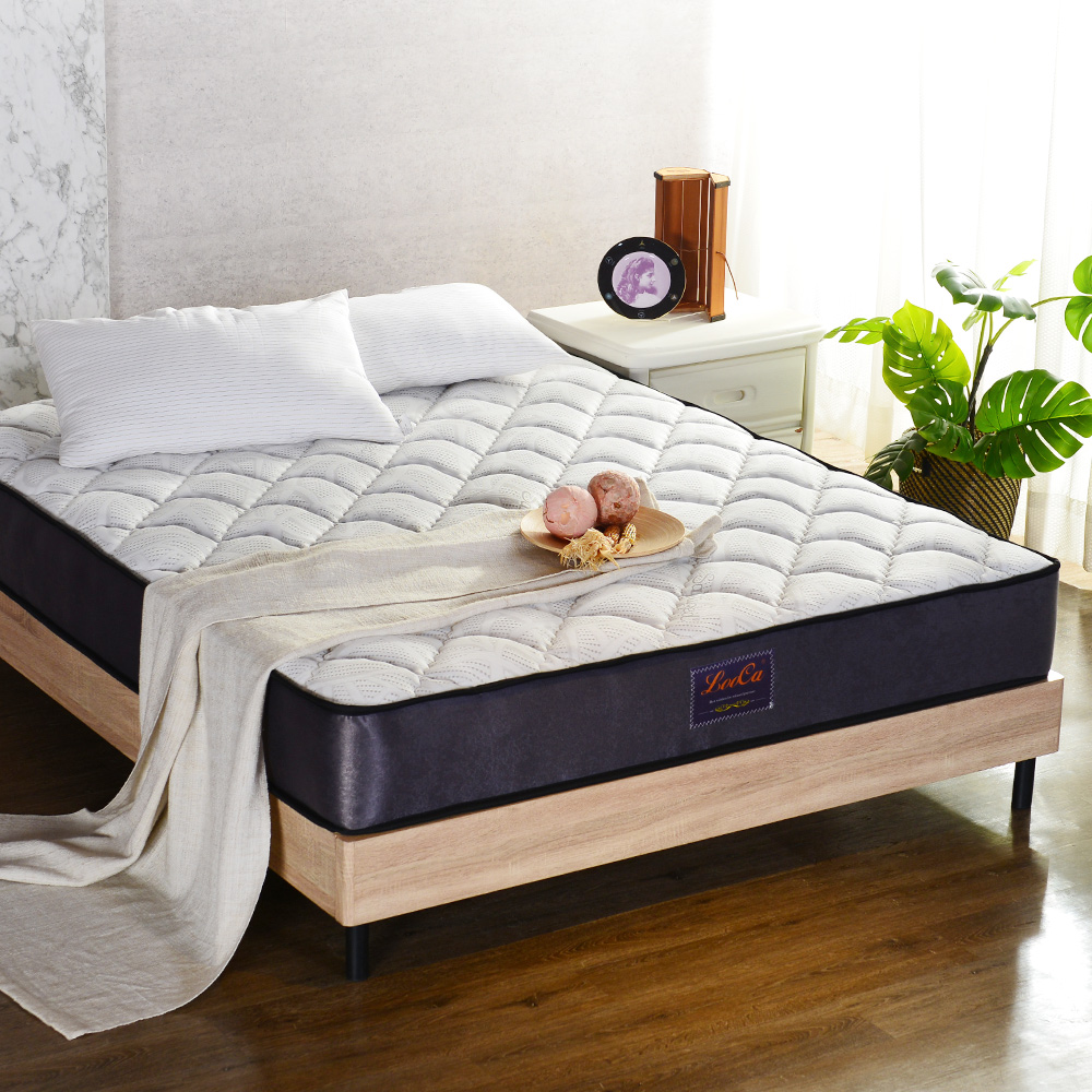 LooCa雙層結構量子石墨烯高效循環被2入 歷史價格詳細信息