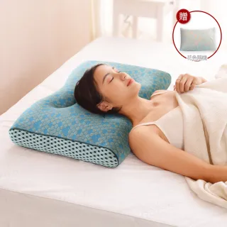 LooCa超冰涼可水洗夏被 涼被(雙人5*6) 歷史價格詳細信息