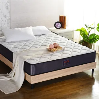 LooCa雙層結構量子石墨烯高效循環被2入 歷史價格詳細信息