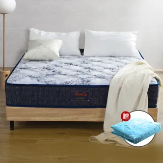 LooCa涼感可水洗枕頭保潔墊2入 歷史價格詳細信息